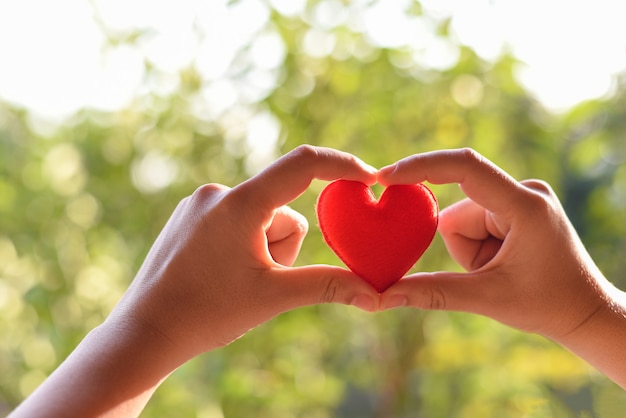 Premium Photo Heart In Hand For Philanthropy Concept Woman Holding Red Heart In Hands For Valentines Day Or Donate Help Give Love Warmth Take Care Premium Photo Heart In Hand For Philanthropy Concept Woman Holding Red Heart In Hands For Valentines Day Or Donate Help Give Love Warmth Take Care