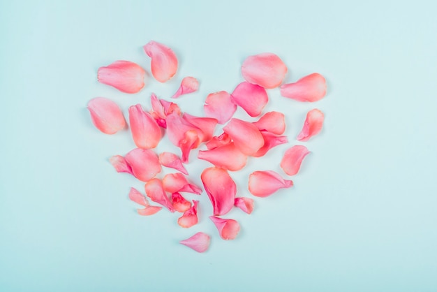 Heart shape from roses petals on blue table