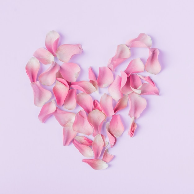 Free photo heart shape from roses petals