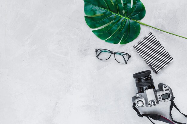 Heart shape leaf, eyeglasses, wallet and camera on gray background