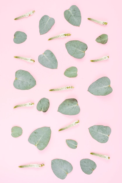 Free photo heart shape leaves with veronica flower pattern on pink background