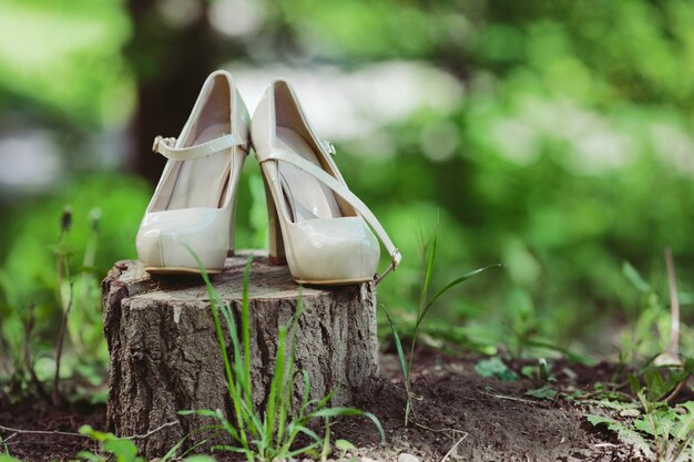 Heeled shoes on a stump