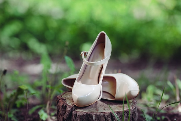 Free photo heeled shoes