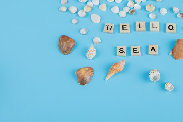 Hello sea quote on blue surface with sea shells around