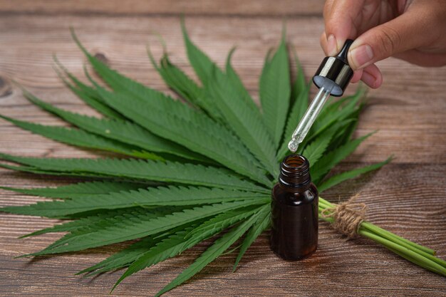 Hemp oil and hemp leaves placed on the wooden floor