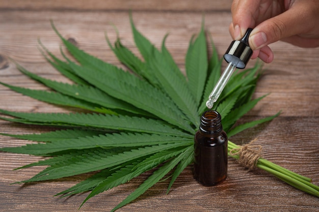 Hemp oil and hemp leaves placed on the wooden floor