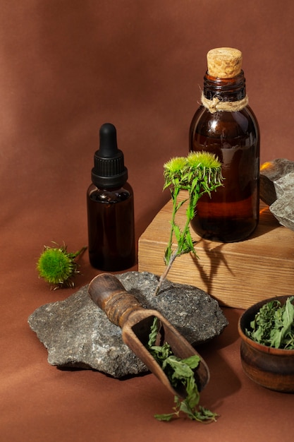 Free photo herbal medicine with plants assortment high angle