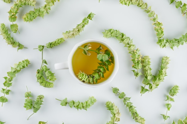 Herbal tea in a cup with leaves flat lay on a white