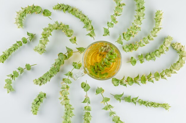 Herbal tea in a glass cup with leaves top view on a white