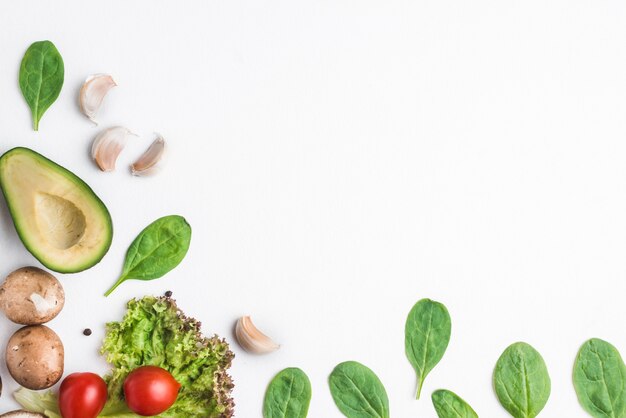 Herbs and vegetables on white background