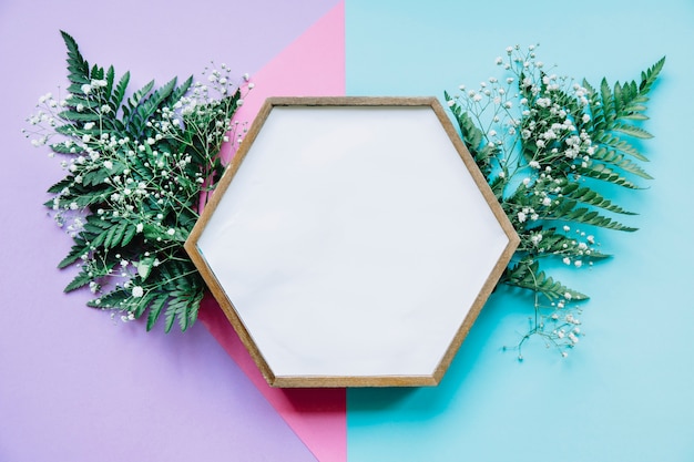 Hexagonal frame and leaves