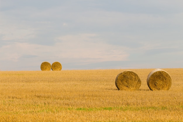 Hey rolls in the valley in a rural area