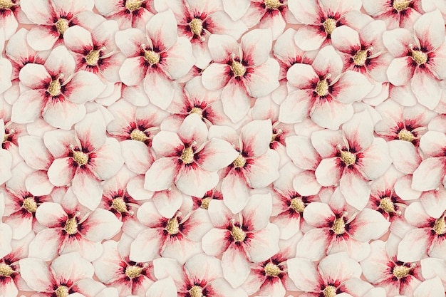 Hibiscus Flower Pattern Background, Remix From Artworks By Megata Morikaga