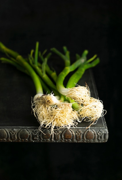 High ange green onion on table