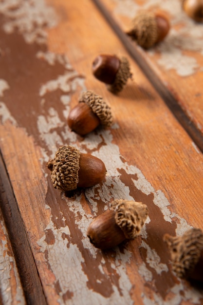 Free photo high angle acorns on table still life