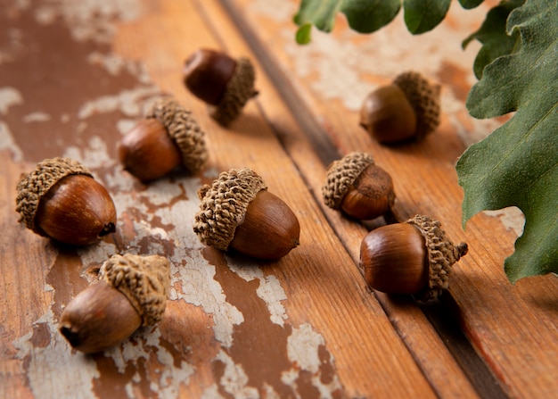 Free photo high angle acorns on table still life