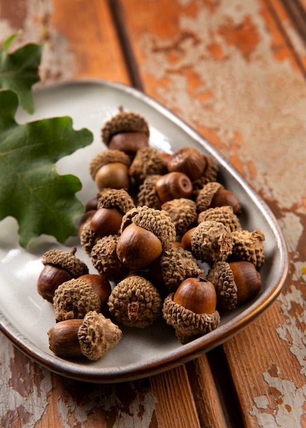 High angle acorns on table still life