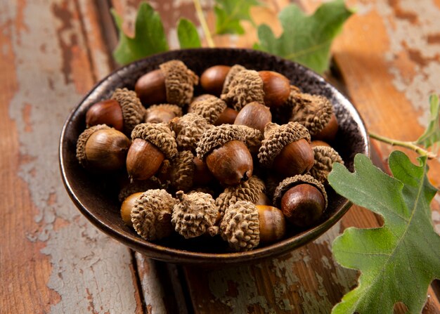 High angle acorns on table still life