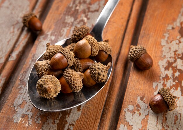 High angle acorns on table still life