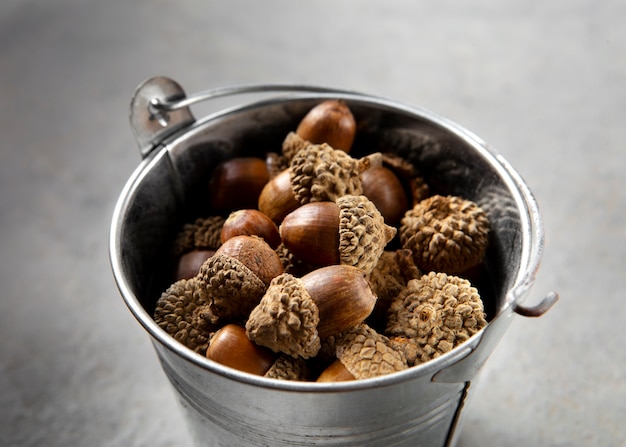 Free photo high angle acorns on table still life