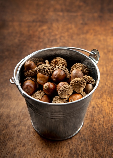 Free photo high angle acorns on table still life