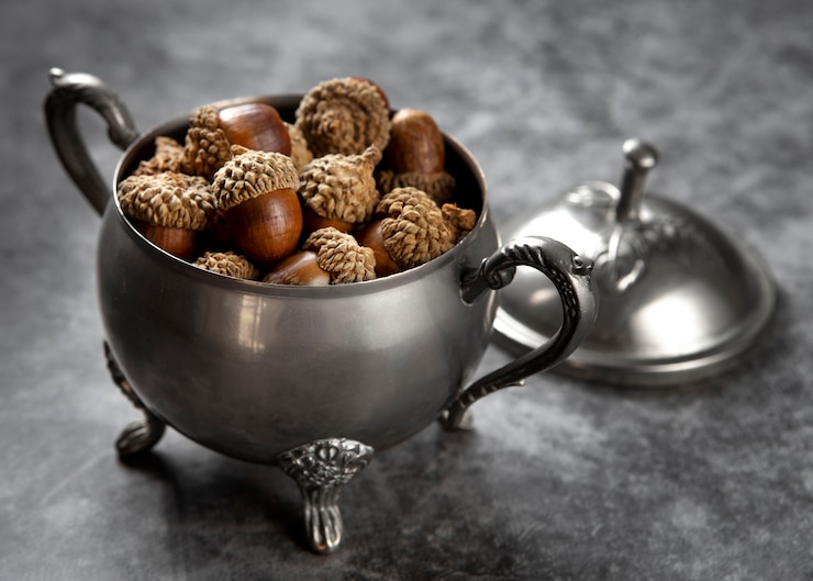 Free Photo high angle acorns on table still life