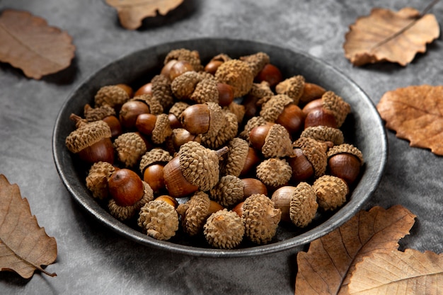 Free photo high angle acorns on table still life