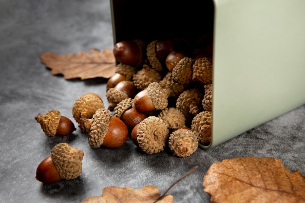 Free photo high angle acorns on table still life