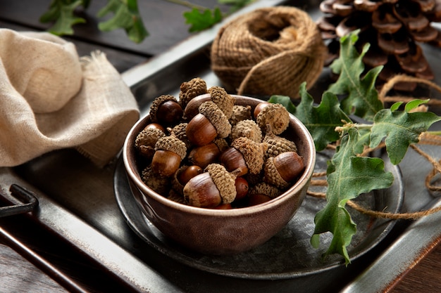 Free photo high angle acorns on table still life