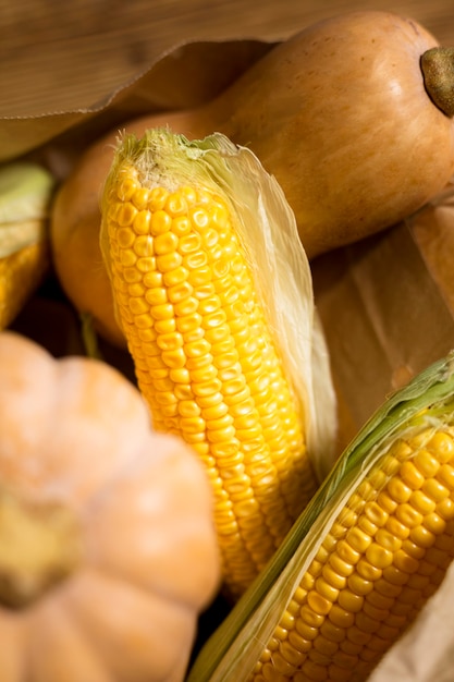 High angle arrangement with corn and pumpkin