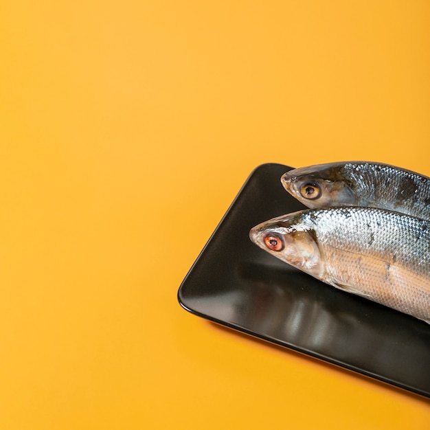 High angle arrangement with fish on yellow background