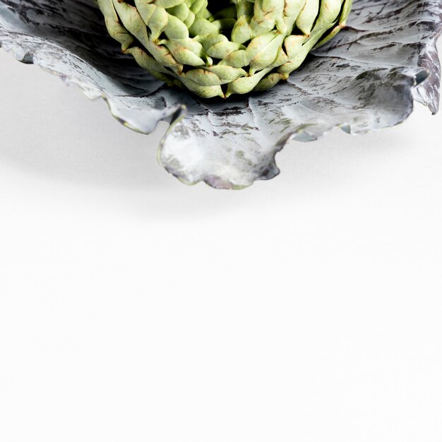 High angle of artichoke on cabbage leaf