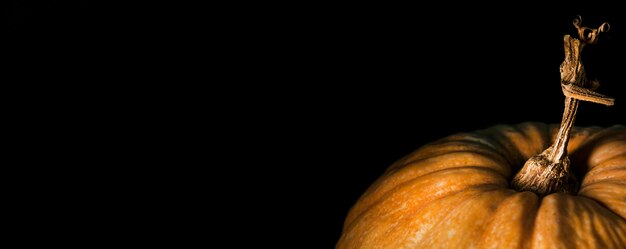 High angle of autumn pumpkin with copy space
