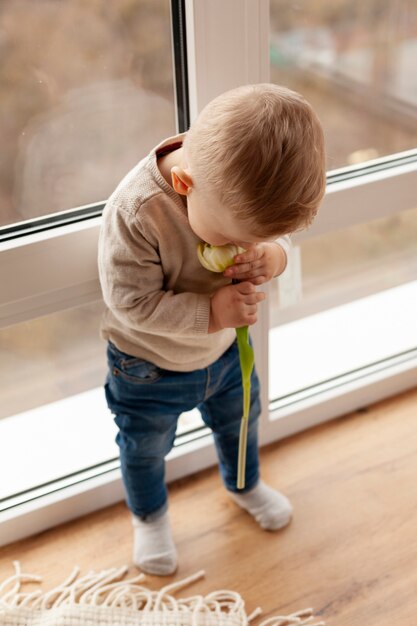 High angle baby boy smelling flower