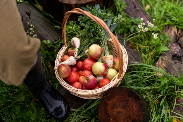 High angle basket with apples