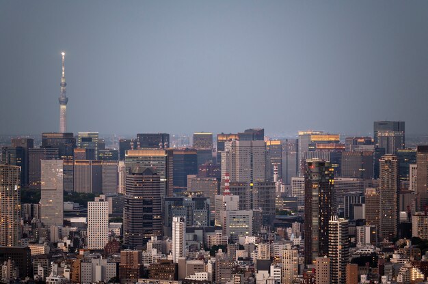 ハイアングルの美しい街の風景