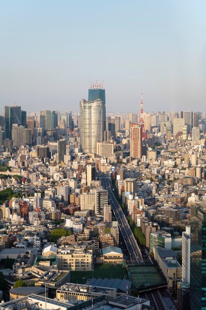 高角度の美しい街の通りと高層ビル