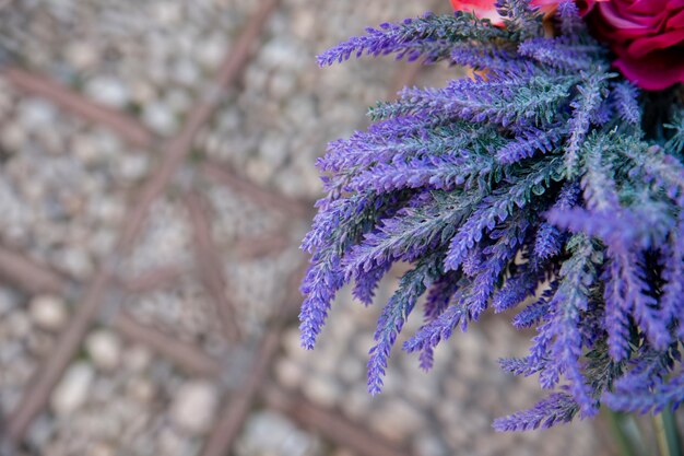 美しいラベンダーの花の高角