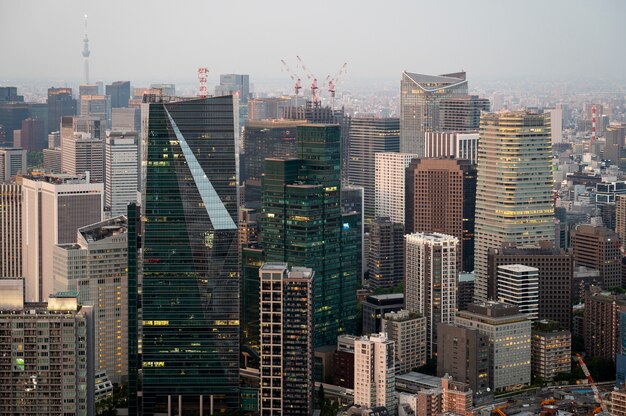 高角度の美しい高層ビルの風景