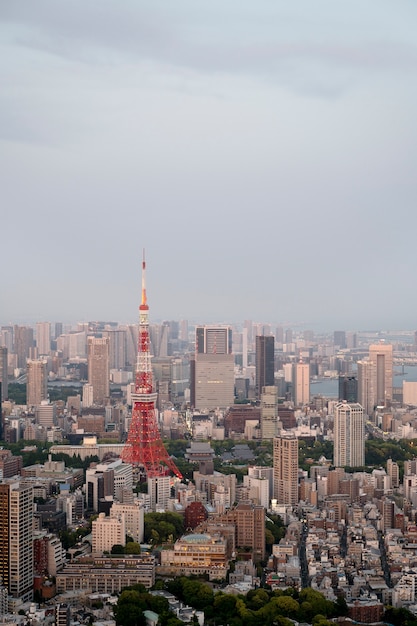 高角度の美しい高層ビルの眺め