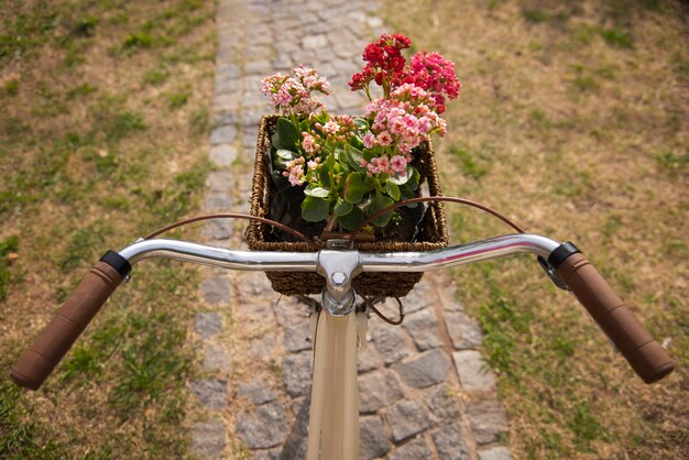 High angle bicycle basket with beautiful flowers