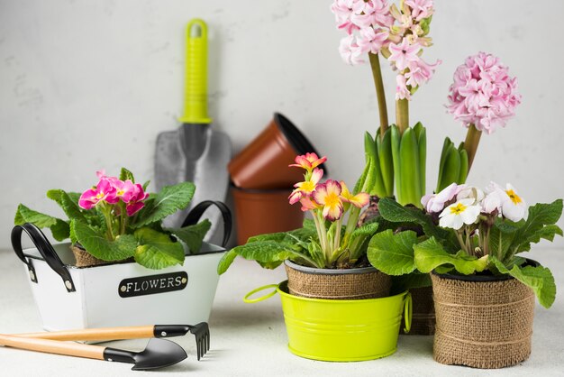 High angle blooming flowers pots with tools