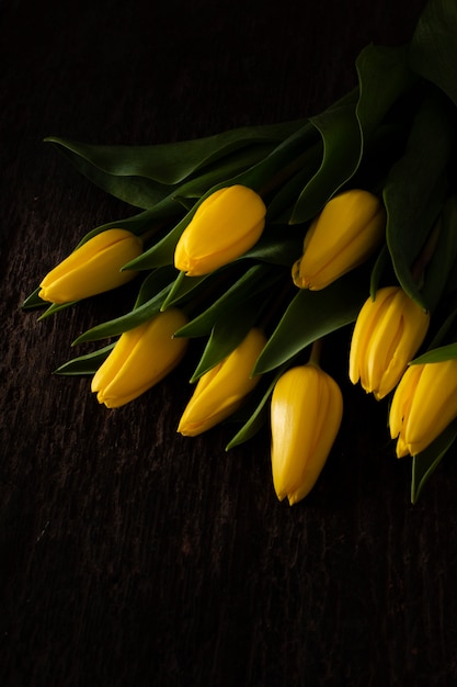 High angle blooming yellow tulips