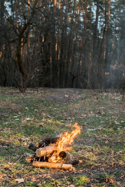 Free photo high angle bonfire in nature