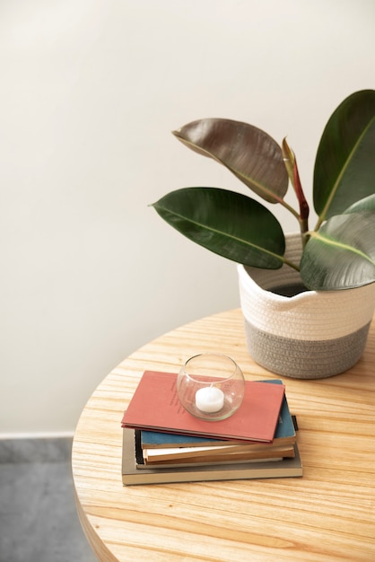 Free photo high angle books and plant on wooden table