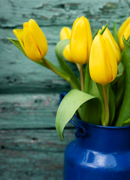 High angle bouquet of yellow tulips