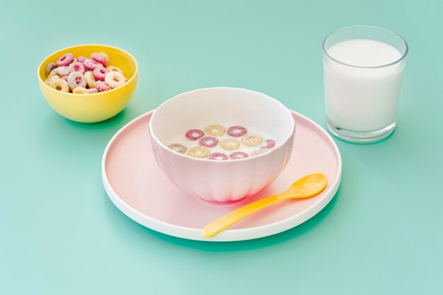 High angle bowl with cereals and milk