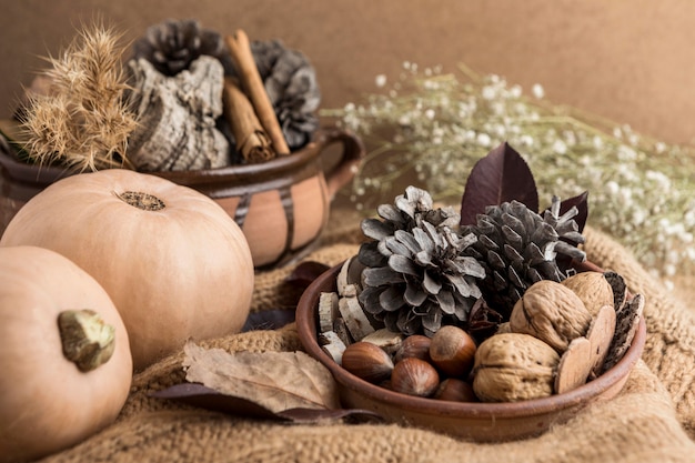 High angle of bowl with pine cones and squash