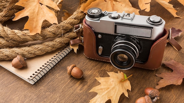 Free photo high angle of camera with autumn leaves and acorns