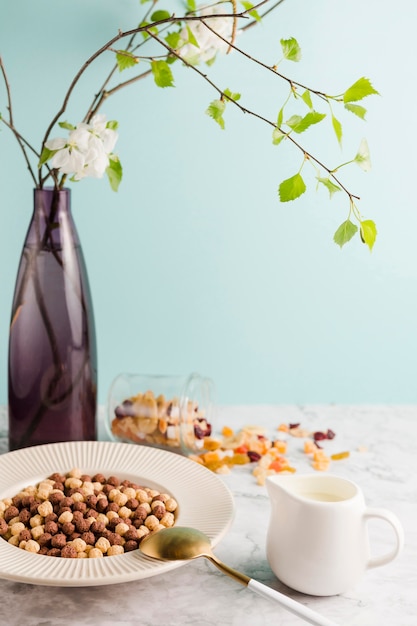 High angle cereal bowl with yogurt and dried fruits